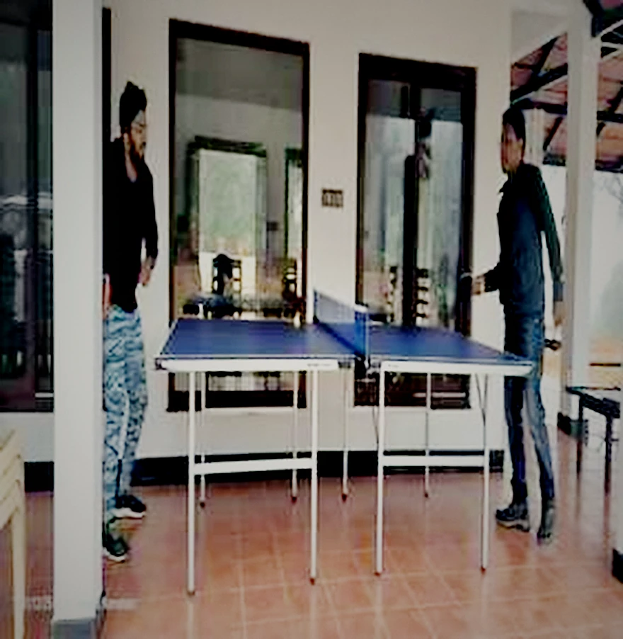 Table tennis and indoor games at The Green Stay, Sakleshpur