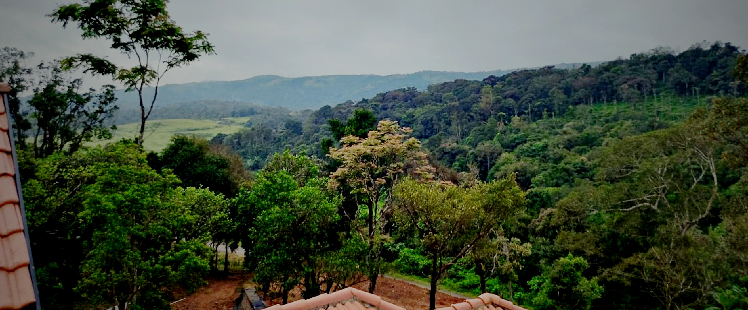 The valley below the homestay at dawn, ridge after ridge of Western Ghats forest fading into mist