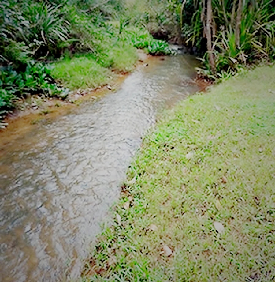 The stream and the waterfalls at The Green Stay, Sakleshpur