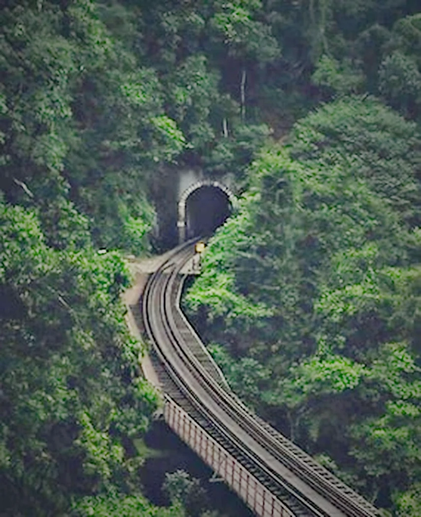 The railway trek at The Green Stay, Sakleshpur