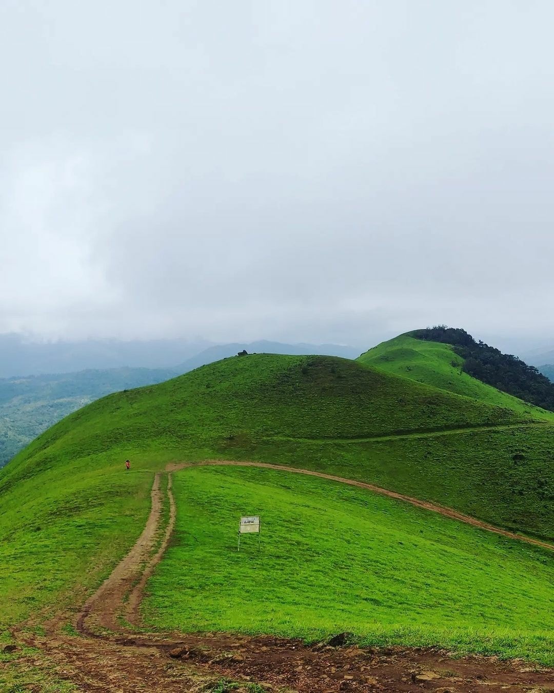 Hosalli Betta near The Green Stay, Sakleshpur
