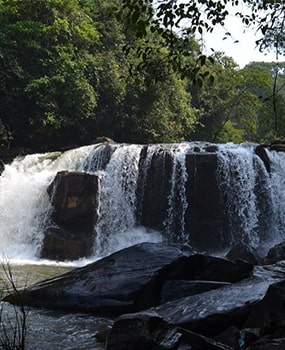 Mookanamane Abbi Falls near The Green Stay, Sakleshpur