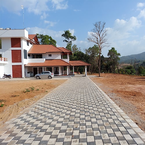 Green views around the homestay