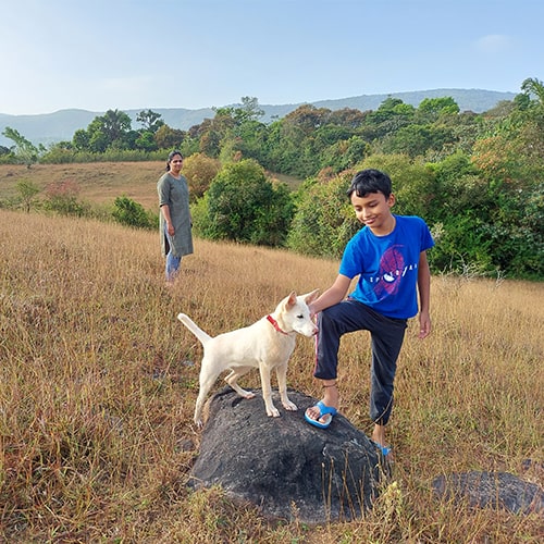 Nature walk near the property