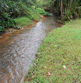 The stream below the house